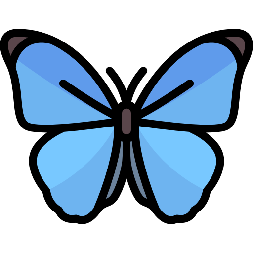 butterfly